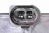 VEMO V10-84-0033 - Piloto de matrícula