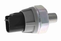 MDR MDB5902 - Correa dentada