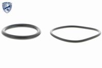 VEMO V10-09-0806 - Bomba de combustible