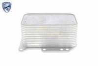 VEMO V46-60-0012 - Radiador de aceite, aceite motor