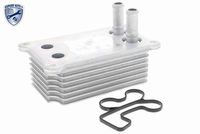 SIDAT 590040 - Radiador de aceite, aceite motor