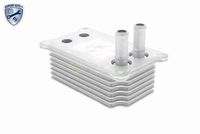 VEMO V25-60-0031 - Radiador de aceite, aceite motor
