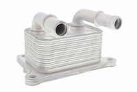 TRICLO 415462 - Radiador de aceite, aceite motor