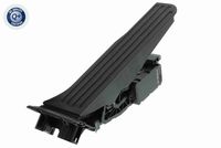 MOTAQUIP LVAP69 - Sensor, posición pedal