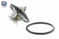 STARK SKTC0560019 - Termostato, refrigerante