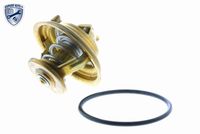 Schaeffler INA 530053930 - Bomba de agua + kit correa distribución