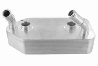 STARK SKOC1760016 - Radiador de aceite, aceite motor