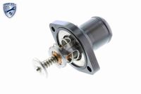 TRICLO 461429 - Termostato, refrigerante