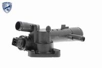 TRICLO 465496 - Termostato, refrigerante
