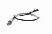 VEMO V10-76-0131 - Sonda Lambda