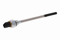 SIDAT 822221 - Sensor, nivel de aceite del motor