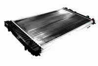 Stark SKRD0120450 - Radiador, refrigeración del motor
