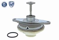 Stark SKEGR0770184 - Válvula EGR