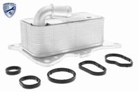 Stark SKOC1760109 - Radiador de aceite, aceite motor