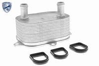 SIDAT 590325 - Radiador de aceite, aceite motor