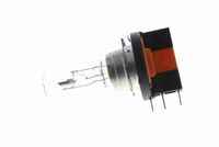VEMO V99-84-0082 - Bombilla, luces diurnas