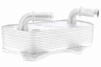 SIDAT 590258 - Radiador de aceite, aceite motor