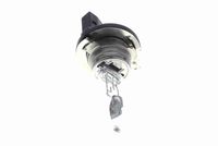 VEMO V99-84-0082 - Bombilla, luces diurnas