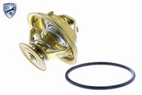 STARK SKTC0560104 - Termostato, refrigerante
