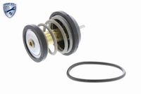 TRICLO 462149 - Termostato, refrigerante