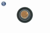 VEMO V30-99-0199 - Termostato, refrigerante