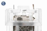 VEMO V10-84-0046 - Piloto de matrícula