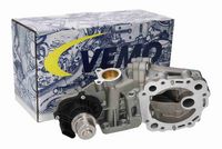 VEMO V25-63-0083 - Válvula EGR