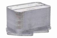 NTY CCLBM072 - Cubierta, caja filtro de aceite
