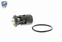 TRICLO 463826 - Termostato, refrigerante