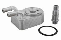 SIDAT 590239 - Radiador de aceite, aceite motor