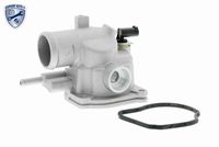 RIDEX 316T0100 - Termostato, refrigerante