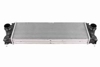 Stark SKICC0890284 - Radiador de aire de admisión