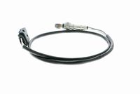 VEMO V10-76-0080 - Sonda Lambda