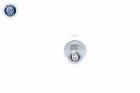 VEMO V99-75-0010 - Bujía de encendido