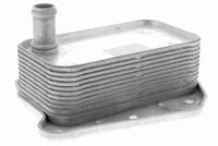 SIDAT 590304 - Radiador de aceite, aceite motor