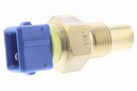 SIDAT 82448 - Interruptor de temperatura, testigo de líquido refrigerante