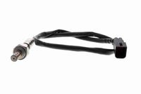 Stark SKLS0140254 - Sonda Lambda