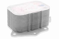 TRICLO 411704 - Radiador de aceite, aceite motor