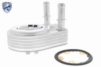 SIDAT 590099 - Radiador de aceite, aceite motor