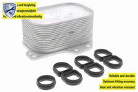 VEMO V15-60-6063 - Radiador de aceite, aceite motor