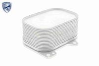 SIDAT 590082C - Radiador de aceite, aceite motor