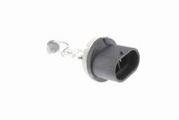 VEMO V99-84-0086 - Lámpara