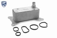 PIERBURG 709269840 - Radiador de aceite, aceite motor
