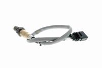 STARK SKLS0140645 - Sonda Lambda