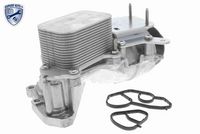 TRICLO 411704 - Radiador de aceite, aceite motor