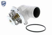 Stark SKTC0560062 - Termostato, refrigerante