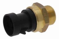 VEMO V24-99-1254 - Interruptor de temperatura, ventilador del radiador