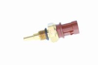 VEMO V24-72-0115 - Sensor, temperatura del aceite