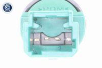 VEMO V46-73-0033 - Conmutador, accionamiento embrague (control veloc.)