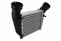 RIDEX 468I0009 - Radiador de aire de admisión